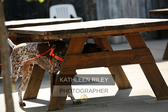 2022-KathleenRileyPhotography-2653