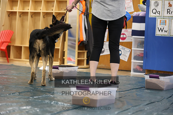 SJLT8979