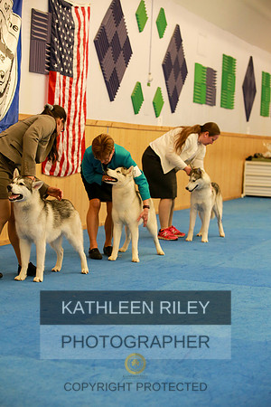 2022-KathleenRileyPhotography-6048