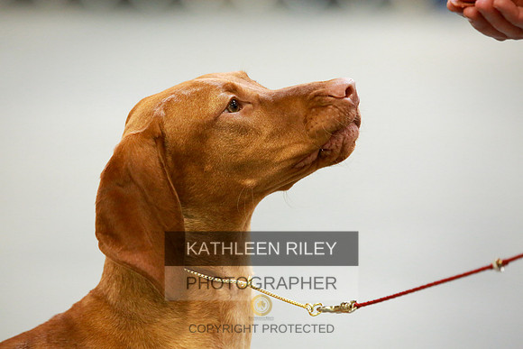 2022-KathleenRileyPhotography-8727
