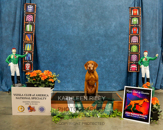 2022-KathleenRileyPhotography-7246