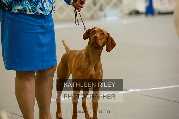 2022-KathleenRileyPhotography-8841