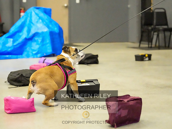 2022-KathleenRileyPhotography-08734