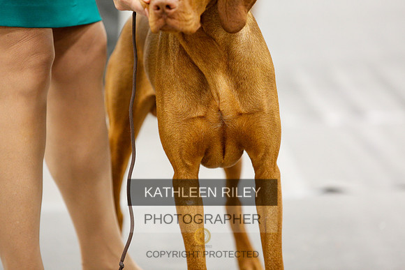 2022-KathleenRileyPhotography-1655