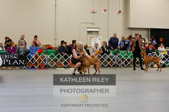 2022-KathleenRileyPhotography-3211