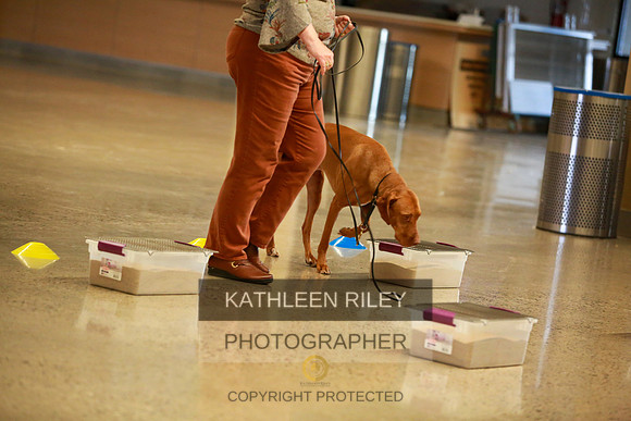 2022-KathleenRileyPhotography-7528