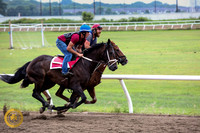2019-08-11 PROOFS Backhaus McDaniel