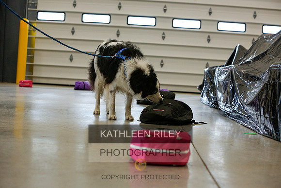 2022-KathleenRileyPhotography-5282