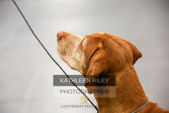 2022-KathleenRileyPhotography-8155