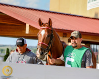 2019-08-16 Canterbury Park Race 2