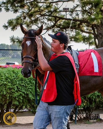 Mrs D's Concerto