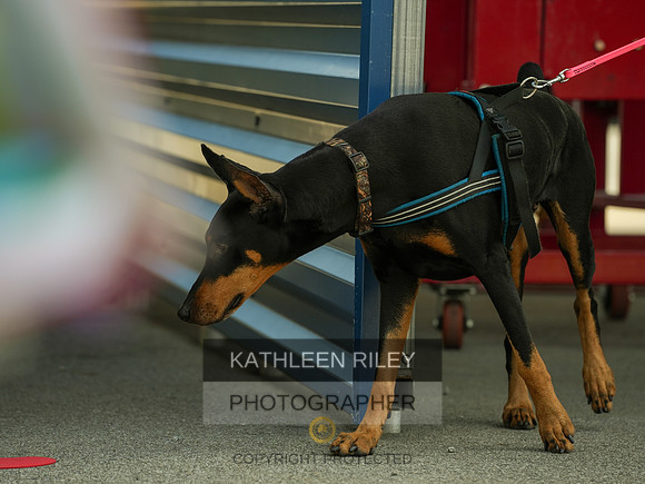 2022-KathleenRileyPhotography-04369
