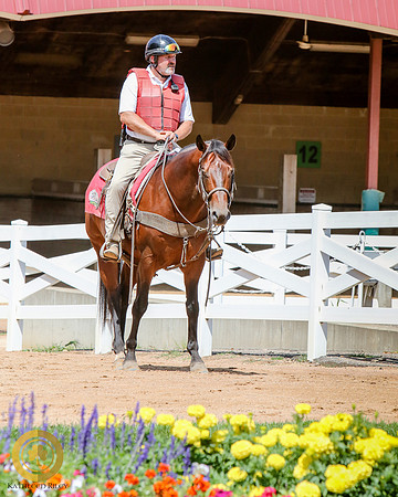 Canterbury Outrider