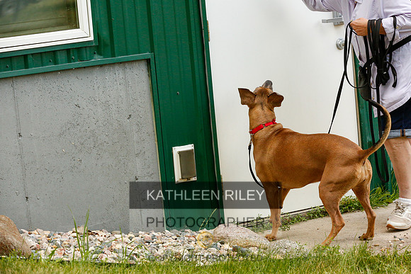 2022-KathleenRileyPhotography-0383