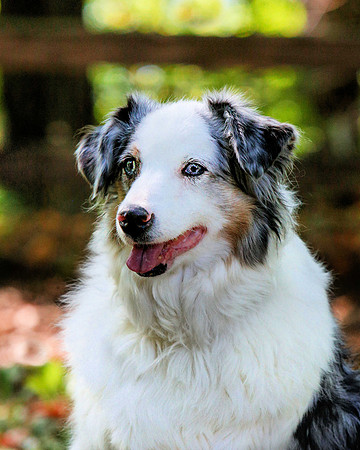 2021-KathleenRileyPhotography-6778 (1) (1) (1)