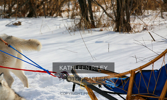 2022-KathleenRileyPhotography-4477