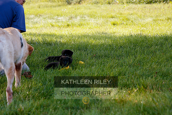 2022-KathleenRileyPhotography-5451