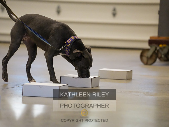 2022-KathleenRileyPhotography-03857