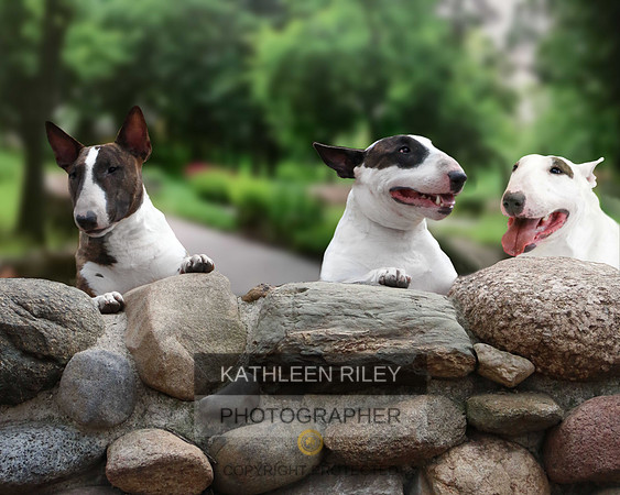 2021-KathleenRileyPhotography-Strojan-IMG_9754