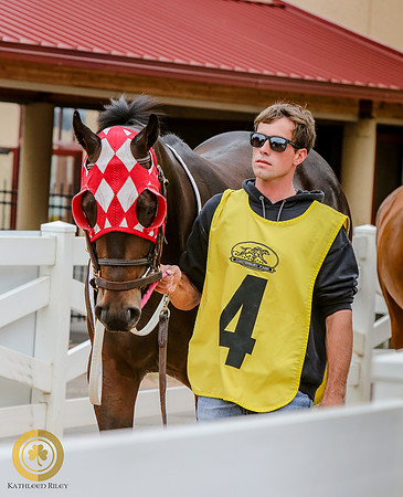 Minnesota Quarter Horse Derby - Race 2 - Fire N Guns