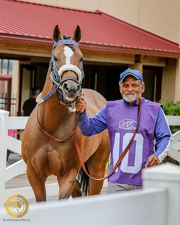 Minnesota Quarter Horse Derby - Race 2 - Apolls Reign