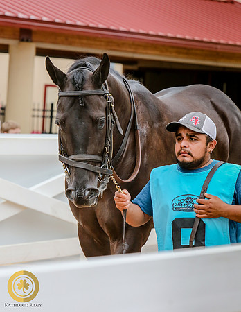 Minnesota Quarter Horse Derby - Race 2 - Haute Wagon