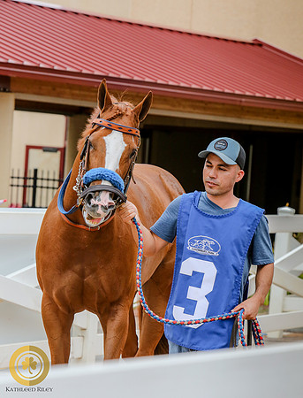 Minnesota Quarter Horse Derby - Race 2 - Jess Doin Time