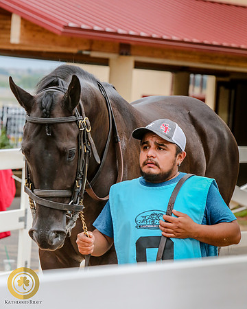 Minnesota Quarter Horse Derby - Race 2 - Haute Wagon