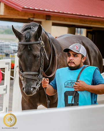 Minnesota Quarter Horse Derby - Race 2 - Haute Wagon