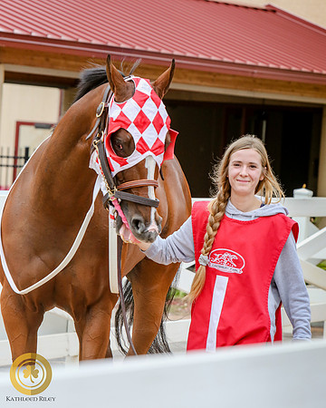 Minnesota Quarter Horse Derby - Race 2 - Runnoft