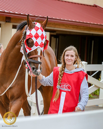 Minnesota Quarter Horse Derby - Race 2 - Runnoft