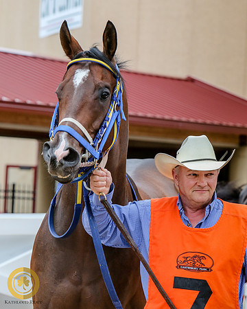 Minnesota Quarter Horse Derby - Race 2 - Fly With A Buzz