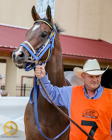 Minnesota Quarter Horse Derby - Race 2 - Fly With A Buzz