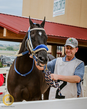 Minnesota Quarter Horse Derby - Race 2 - Fantastic Feelyn