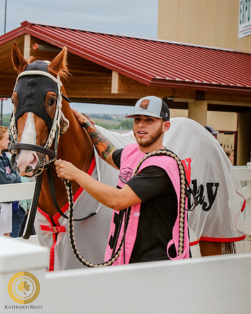 Minnesota Quarter Horse Derby - Race 2 - Holy Storm