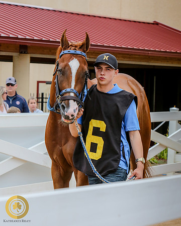 Minnesota Quarter Horse Derby - Race 2 - DB Quick Sam