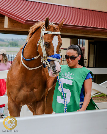 Minnesota Quarter Horse Derby - Race 2 - Eos Mini Pearl