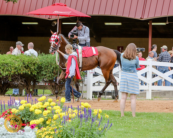 Minnesota Quarter Horse Derby - Race 2 - Runnoft
