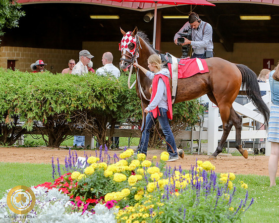 Minnesota Quarter Horse Derby - Race 2 - Runnoft