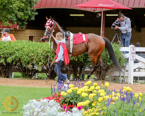 Minnesota Quarter Horse Derby - Race 2 - Runnoft