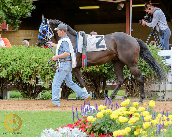 Minnesota Quarter Horse Derby - Race 2 - Fantastic Feelyn