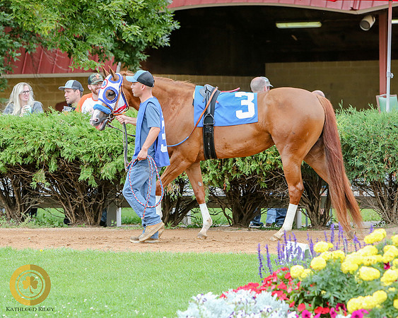 Minnesota Quarter Horse Derby - Race 2 - Jess Doin Time