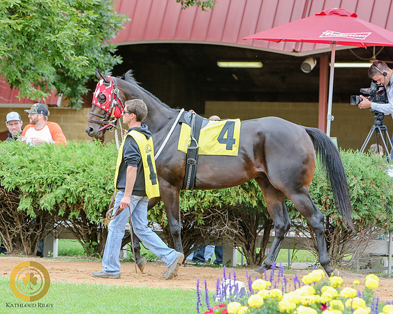 Minnesota Quarter Horse Derby - Race 2 - Fire N Guns
