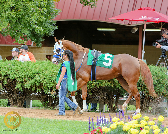 Minnesota Quarter Horse Derby - Race 2 - Eos Mini Pearl