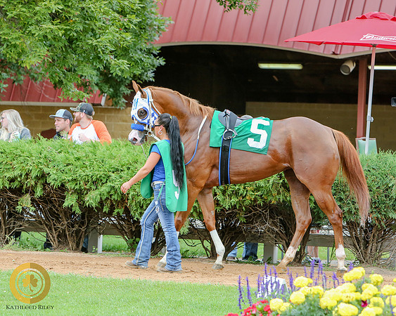 Minnesota Quarter Horse Derby - Race 2 - Eos Mini Pearl