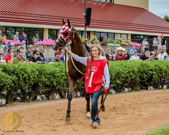 Minnesota Quarter Horse Derby - Race 2 - Runnoft