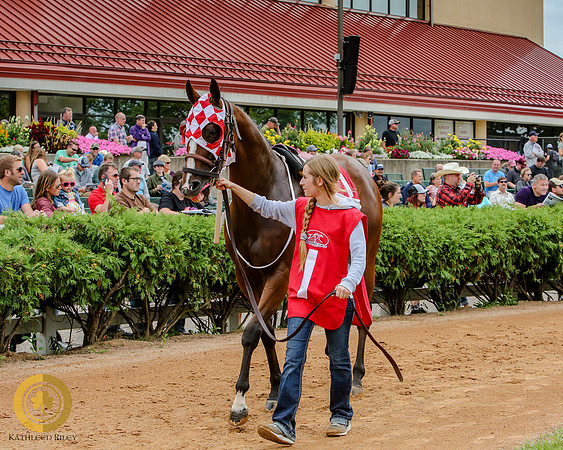 Minnesota Quarter Horse Derby - Race 2 - Runnoft