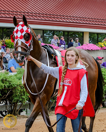 Minnesota Quarter Horse Derby - Race 2 - Runnoft