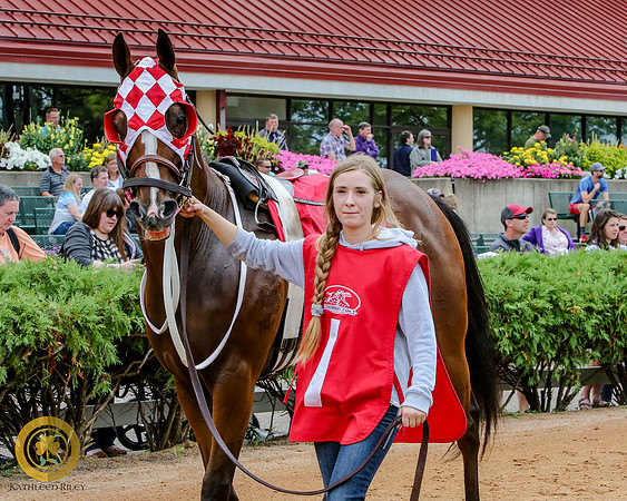 Minnesota Quarter Horse Derby - Race 2 - Runnoft