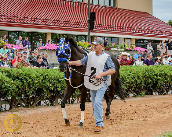Minnesota Quarter Horse Derby - Race 2 - Fantastic Feelyn